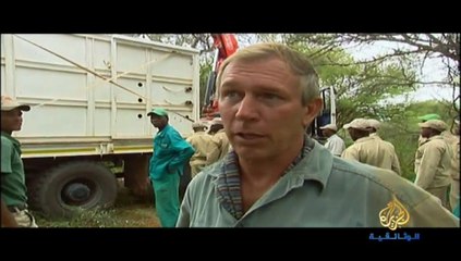 سيرينغيتي .. عودة وحيد القرن الأسود