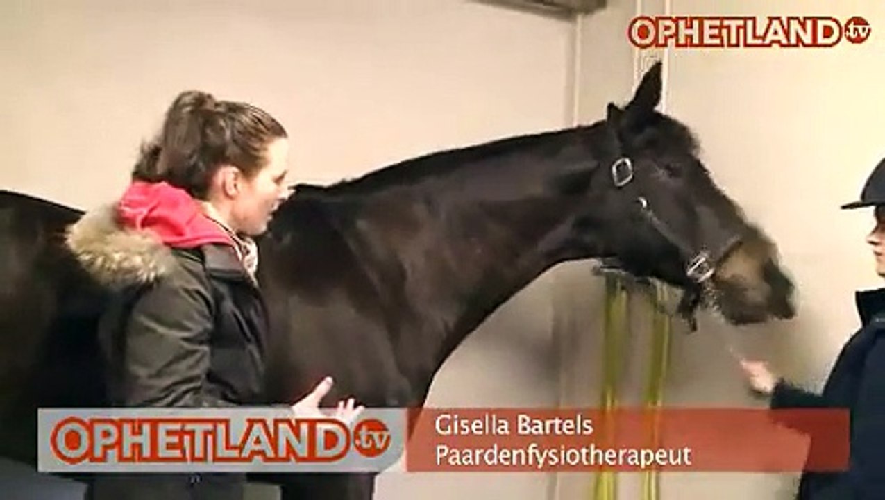 Train spieren op je paard