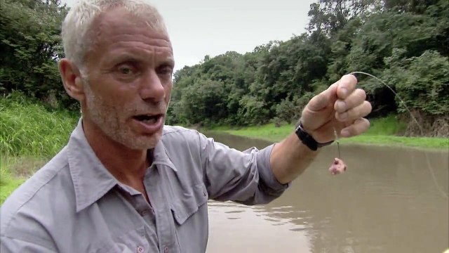 How Easy It Is to Catch Piranhas River Monsters