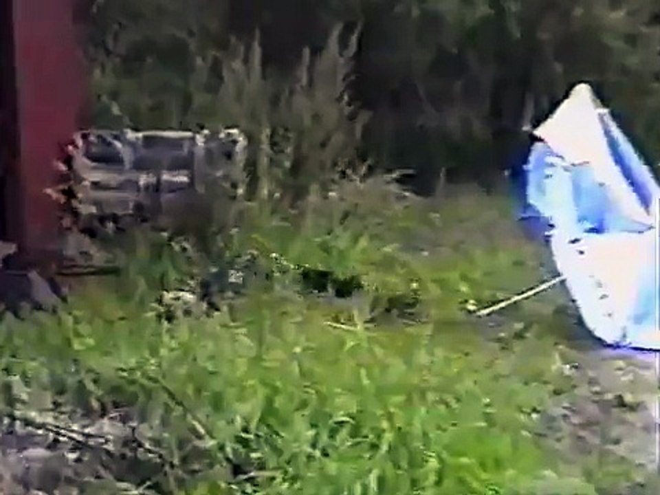 Jack's Internet jackass 2