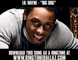 Lil Wayne Ft. Playaz Circle - Big Dog Remix [ New Video + Lyrics +  ]