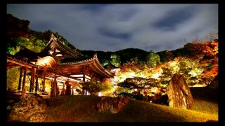 Japan Travel: Kodaiji for Hideyoshi elaborate interior, Kyoto, Japan