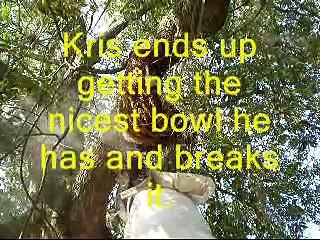 Honey bee hive removal  from a branch 20ft high