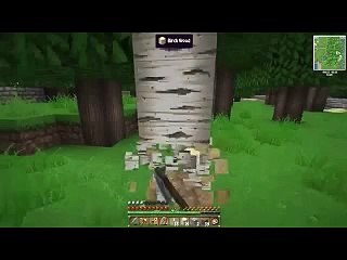 Minecraft action Ridiculous Stunning 1