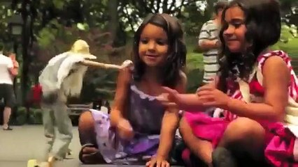 whats up video very funny