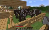 minecraft 5#:si continua a costruire - costruzione casa (parte 1)