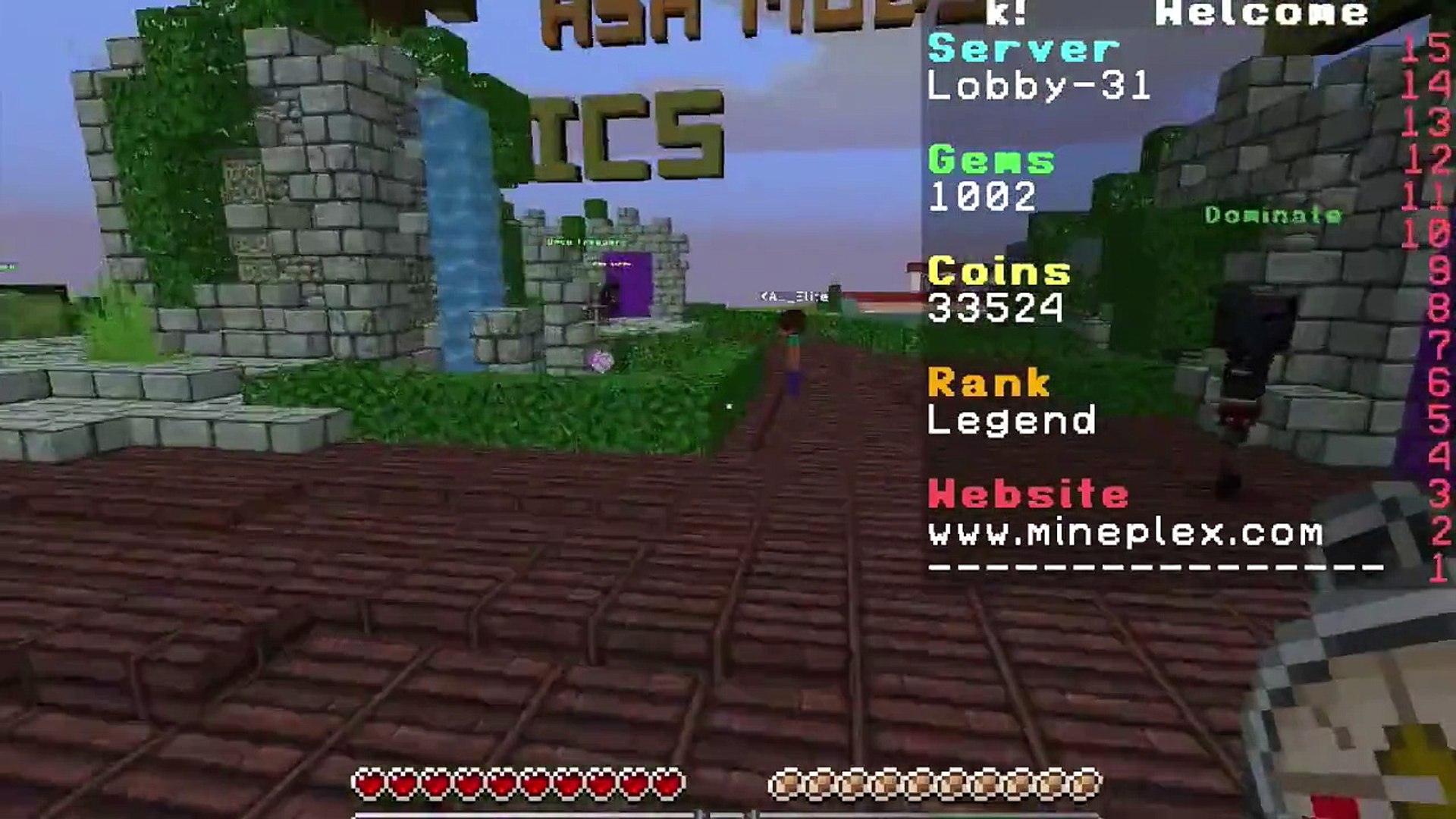 Minecraft Hunger games video test_001