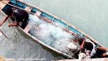 FisherMen in India | Bet Dwarka | Arabian Sea