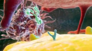 New developed antibody - 3D Animation