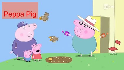 Peppa Pig S04e12 Il giardino fiorito Nuovi episodi 2014