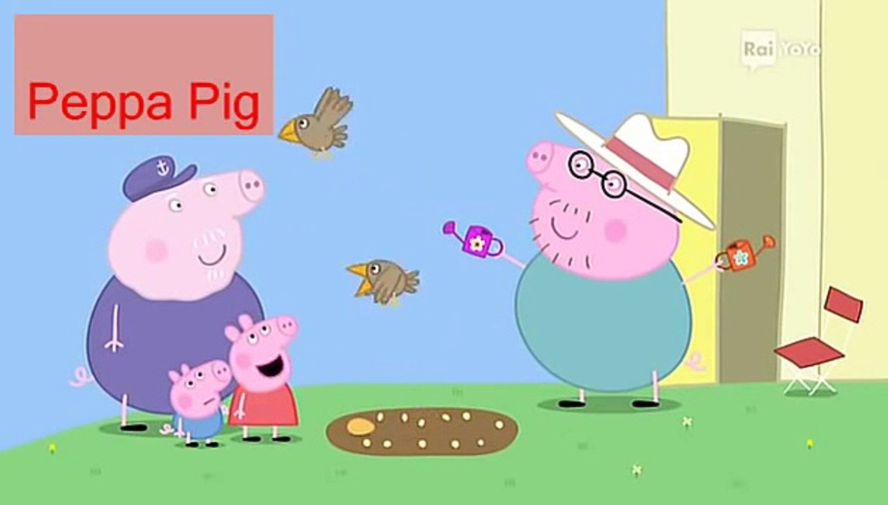 Peppa Pig S04e12 Il giardino fiorito Nuovi episodi 2014