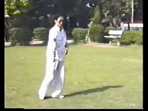 洪敦品 CHINESE kongfu 螳螂拳 武当 少林 Tanglang Wushu GongFu 武术 功夫