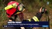Alpes-Maritimes : des habitations menacées par un feu de forêt