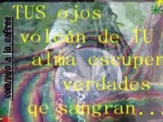 tus ojos-los cafres