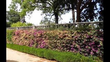 Musica Romantica - XXXIX Parte