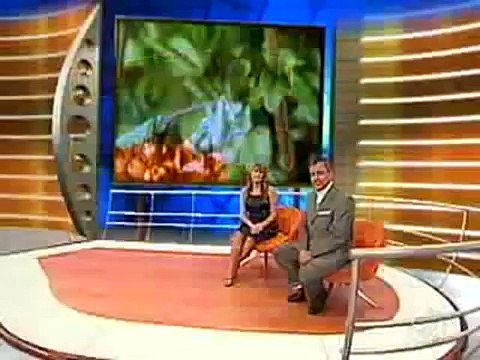 Insetos (O Mundo dos Insetos) Episódio 3/3