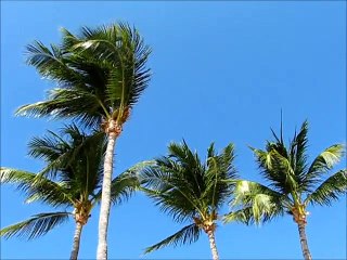 Caribbean Weather: Do You Prefer Sunshine or Hurricanes?