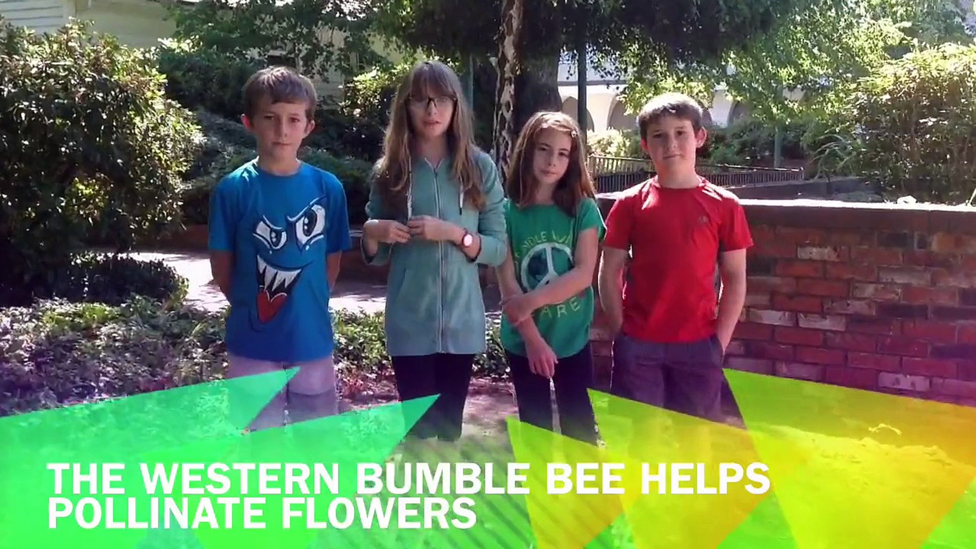 Camp Gold Rush #5 - Western Bumble Bee