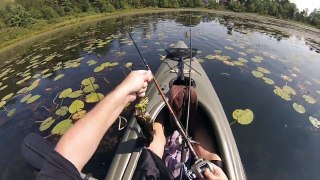 Fun Fishing - Watson Pond, Taunton, MA