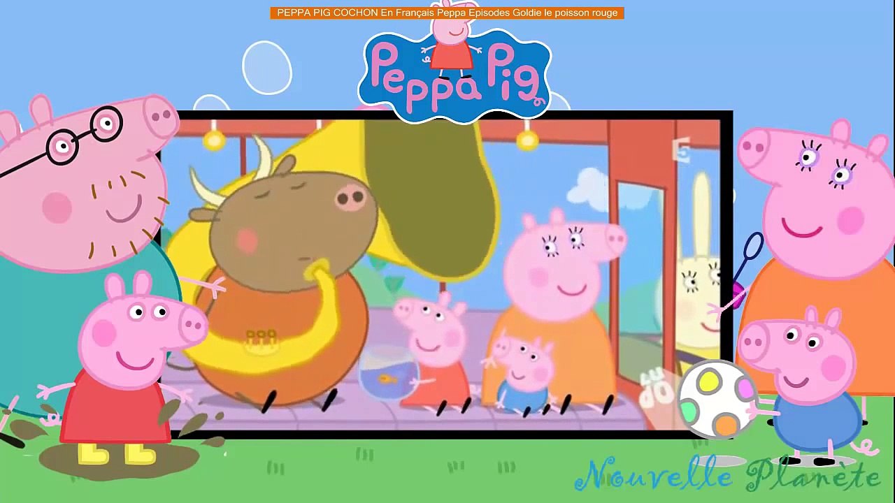 PEPPA PIG COCHON En Français Peppa Episodes Goldie le poisson rouge