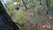 Extreme animal attacks on humans   When Crazy Animals Attack   wild animal attack videos