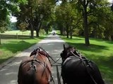 Trotting carriage horses on tree-lined avenue, Shelburne Farms, Vermont