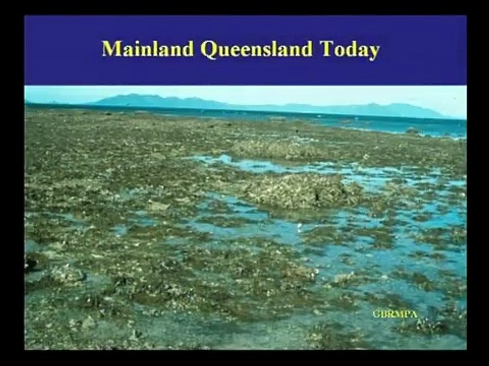 Anticipating ecological surprises: Managing reef resilience