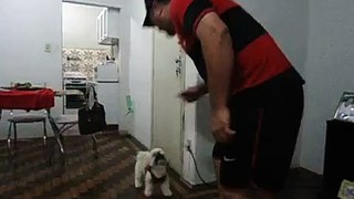 Meu cachorro flamenguista odeio o vasco...........kkkkkkkkkkkkkk
