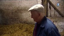 Emile, 89 ans et une passion toujours dévorante pour les chevaux Boulonnais