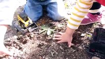 Kids Toy Trucks Video - Children Playing with Toy Diggers and Toy Dump Trucks