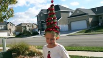 Crazy Hair Day // Christmas tree head // Funny Hair hair styles for women