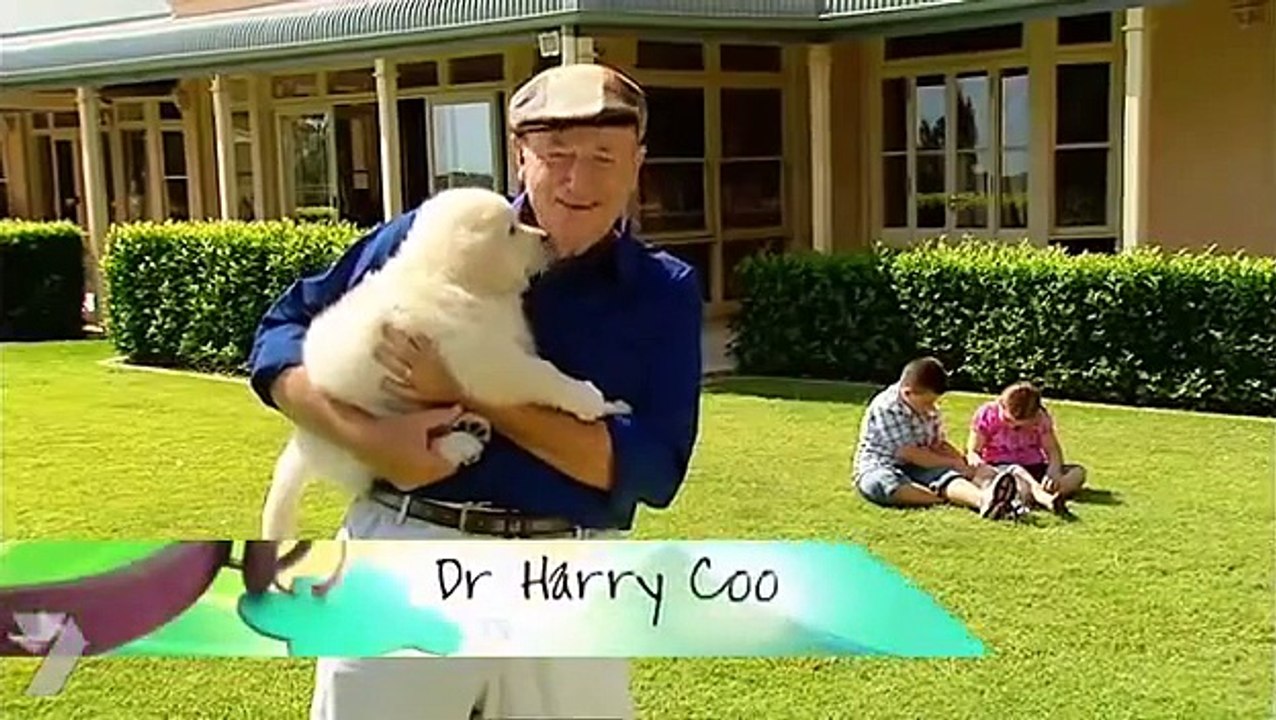 Better Homes and Gardens TV - Bringing Home Puppy