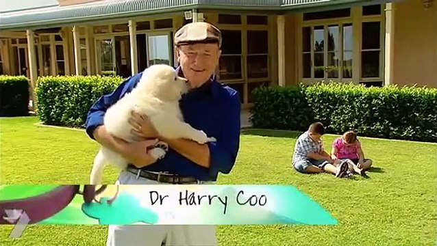 Better Homes and Gardens TV - Bringing Home Puppy