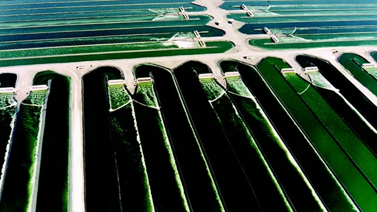 Ivarssons Hawaiian Spirulina