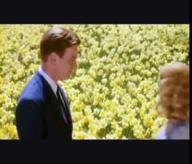 Kantamelade - maldita nerea y lagarto amarillo (homenaje a Tim Burton)