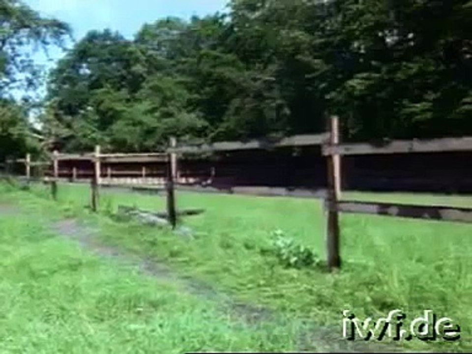 Değişik Alman Arıcılığı  1