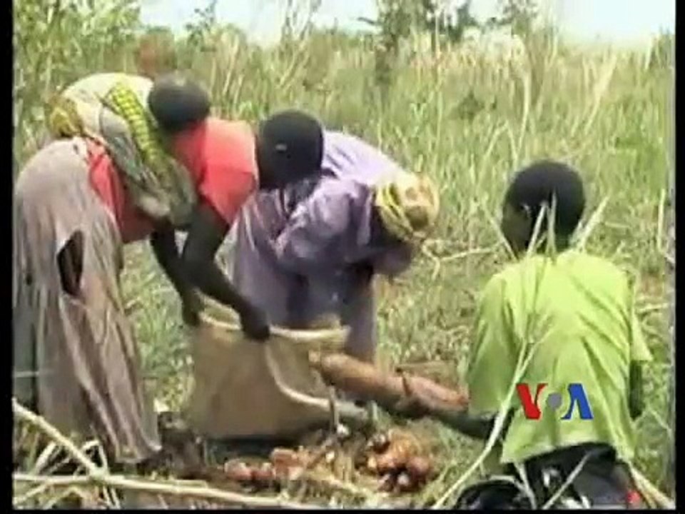 New Malaria Vaccine