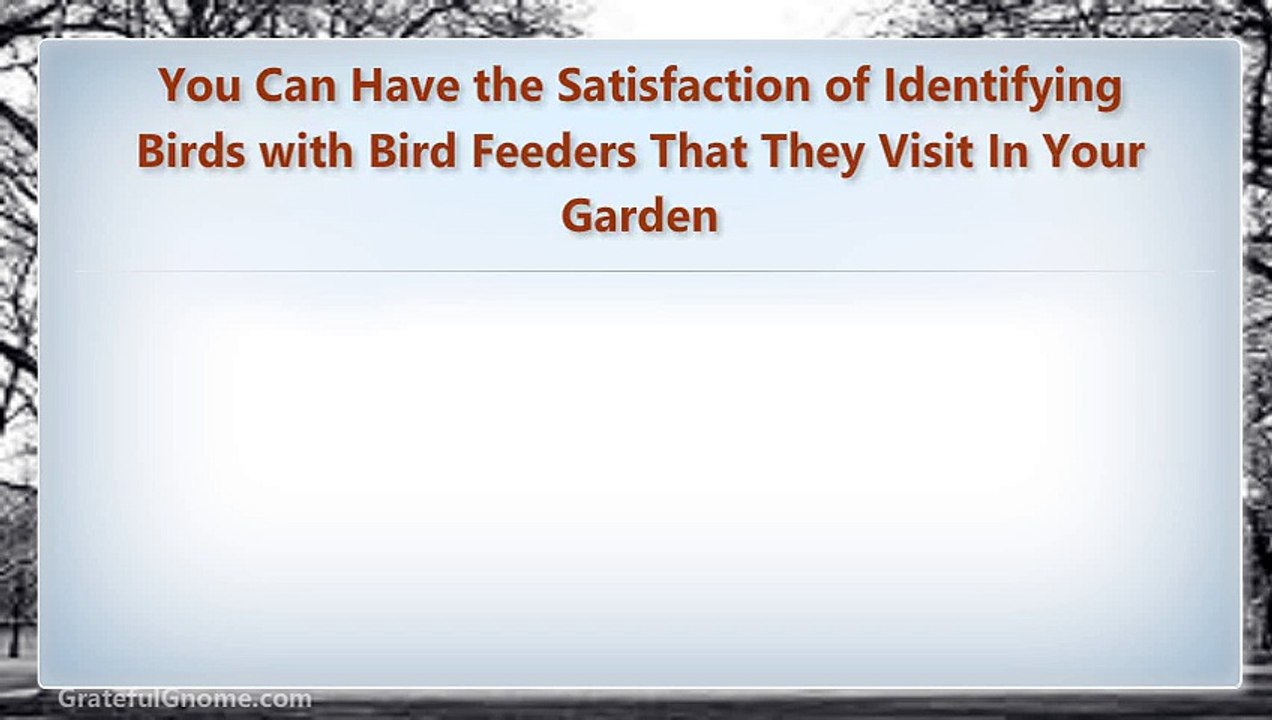 You Can Have the Satisfaction of Identifying Birds with Bird Feeders That They Visit In Your Garden