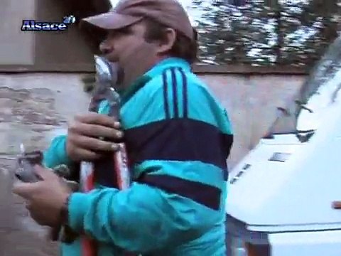 La main verte , L'insertion des handicapés par le travail