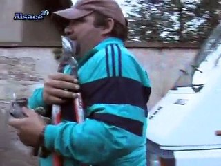 "La main verte", L'insertion des handicapés par le travail