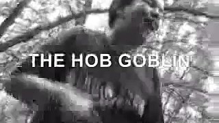 the hob goblin