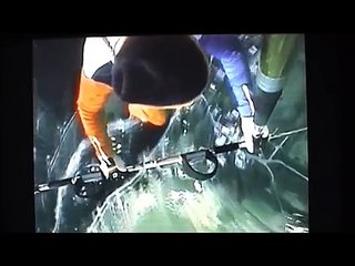 First loop  in a hang glider. Pilot Rudy Kishazy