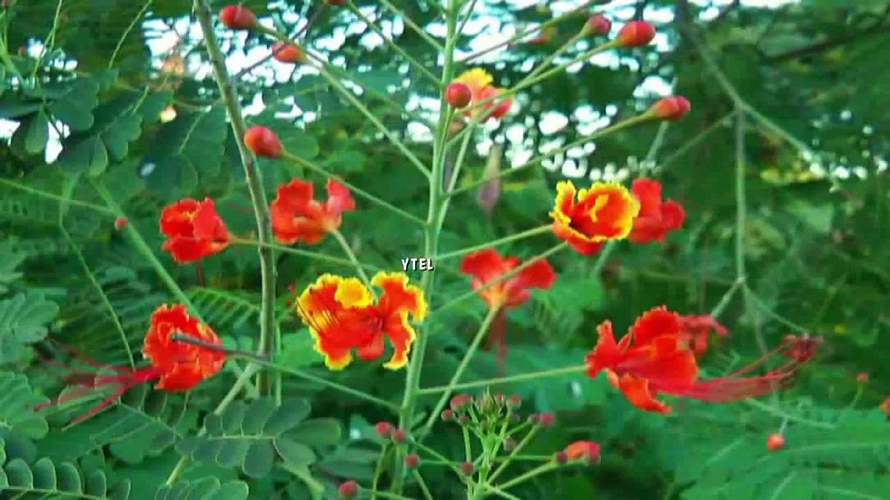 KEVIN KERN  ''The Silence of Knowing''