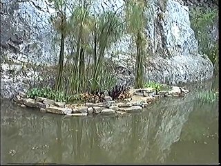 2 visite de Vaunage +accueil dans les familles