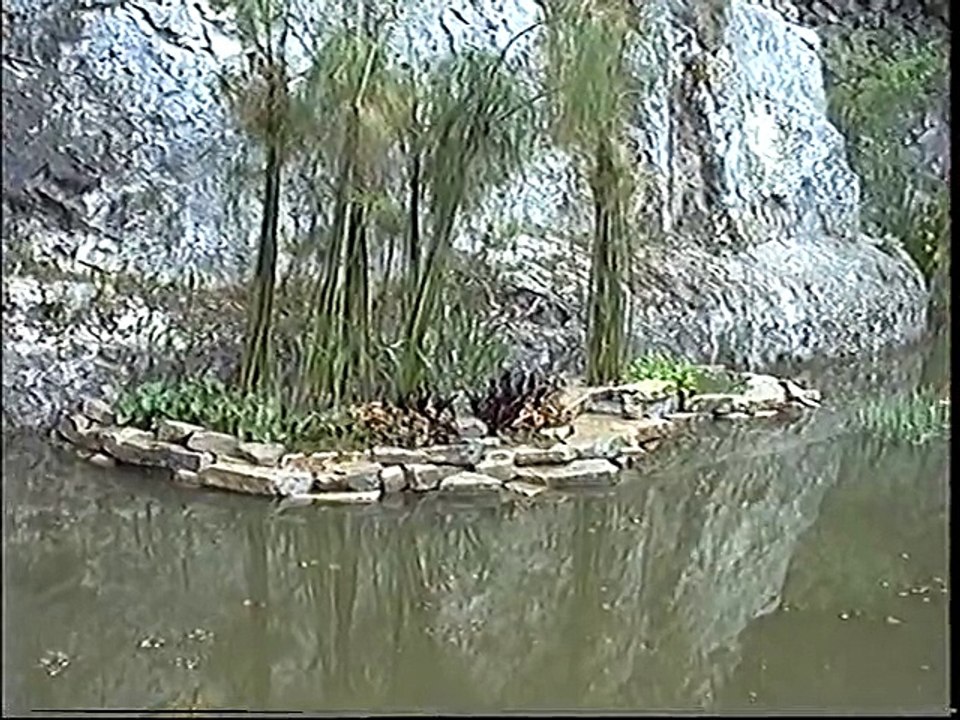 2 visite de Vaunage +accueil dans les familles
