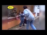 Funny Animal Videos   Funny Animal Attacks Caught On Tape 2011