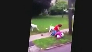 Horrific dog attack caught on camera