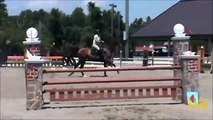 Horse Park of New Jersey Horse Trials Stadium Jumping