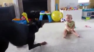 Adorable baby plays with doberman dog | funny dog and baby videos