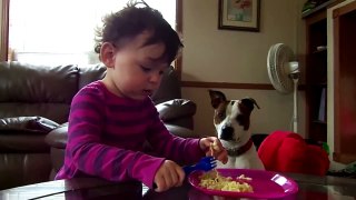 Cute Dogs And Adorable Babies  Funny Compilation | funny dog and baby videos